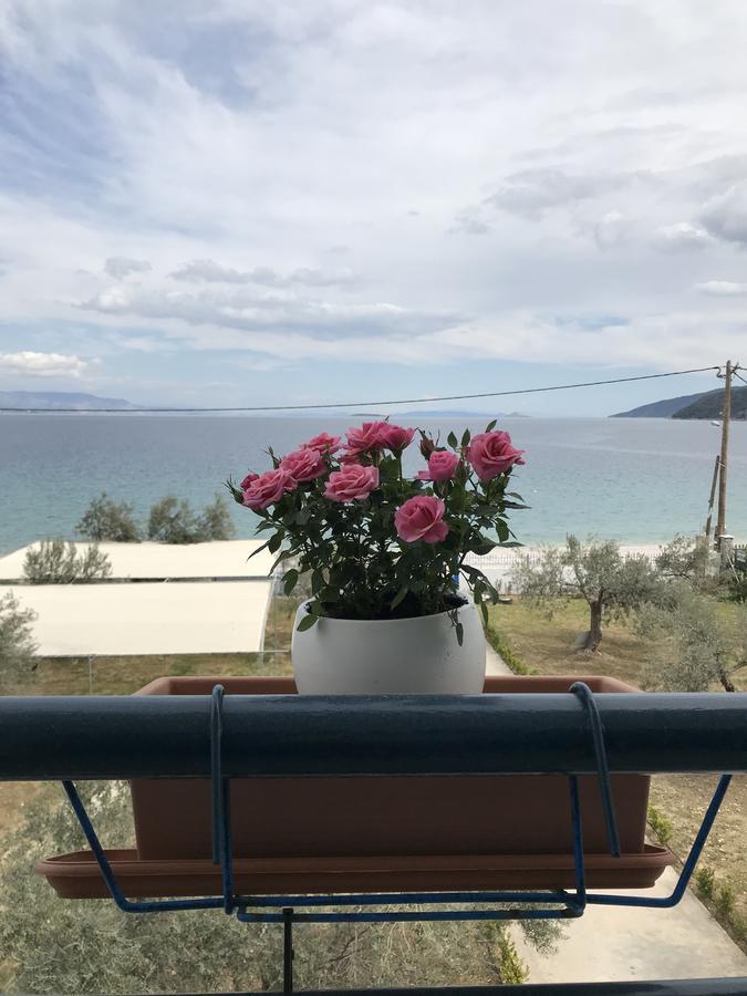 Apartament Amalfi Complex Kato Almiri Zewnętrze zdjęcie